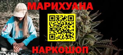 jwh Бийск