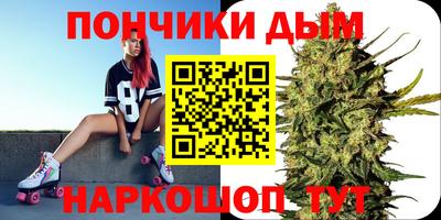 jwh Бийск